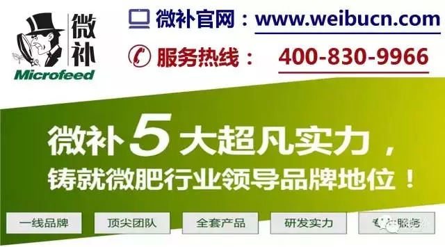 余教授奧地利鄉(xiāng)村行：萬(wàn)科為什么說(shuō)把奧地利小鎮(zhèn)搬回來(lái)？