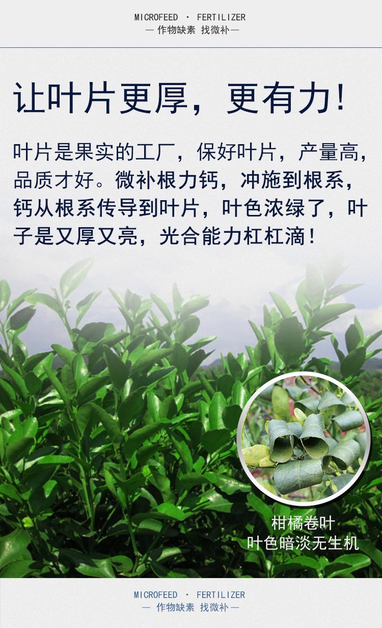 微補(bǔ)根力鈣_05.jpg