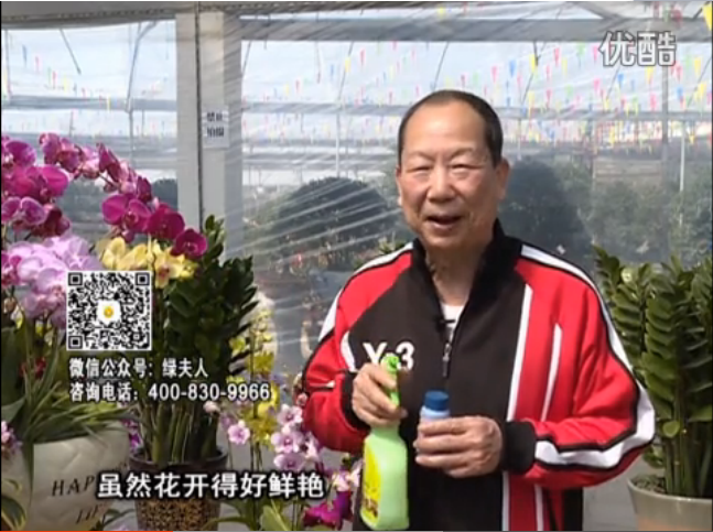 20160314珠江臺搖錢樹：家種鮮花、鮮切花，用綠夫人600度鮮花液?；ㄆG、花期長